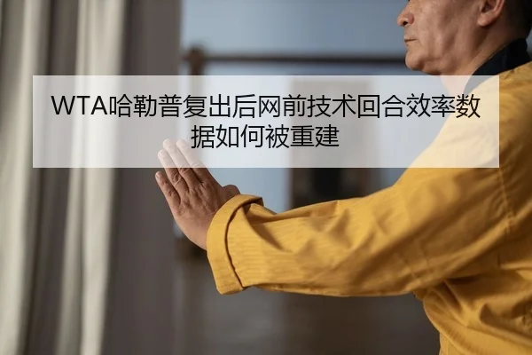 ha-lei-pu-fu-chu-hou-wang-qian-ji-shu-hui-he-xiao-lv-shu-ju-ru-he-bei-chong-jian-2-757.jpg
